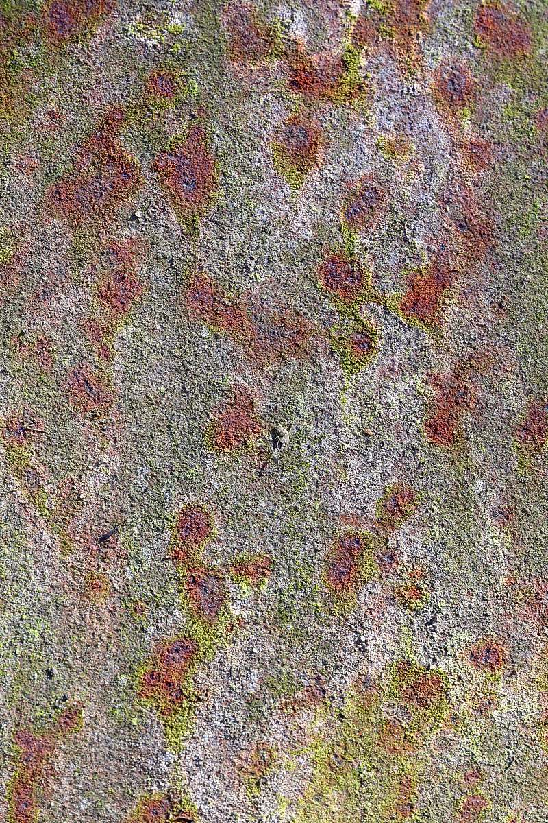 home decor brown and white abstract painting rock